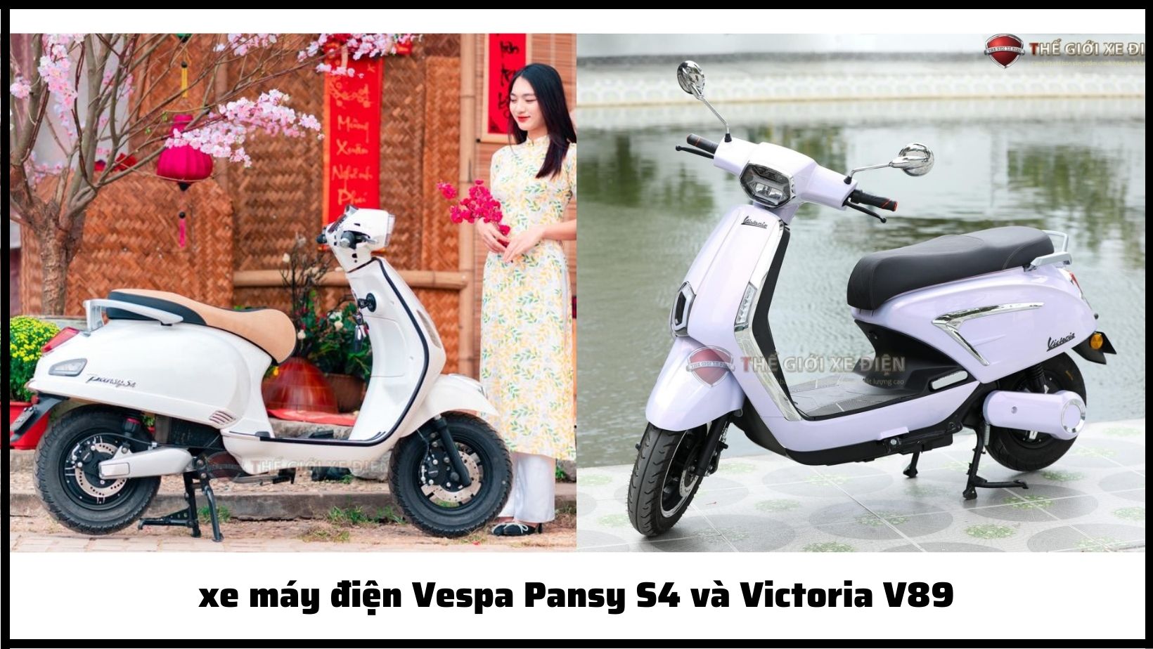 xe máy điện Vespa Pansy S4 và Victoria V89