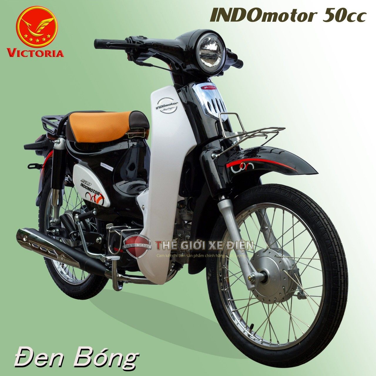 Động cơ xe máy 50cc cub Indo Victoria