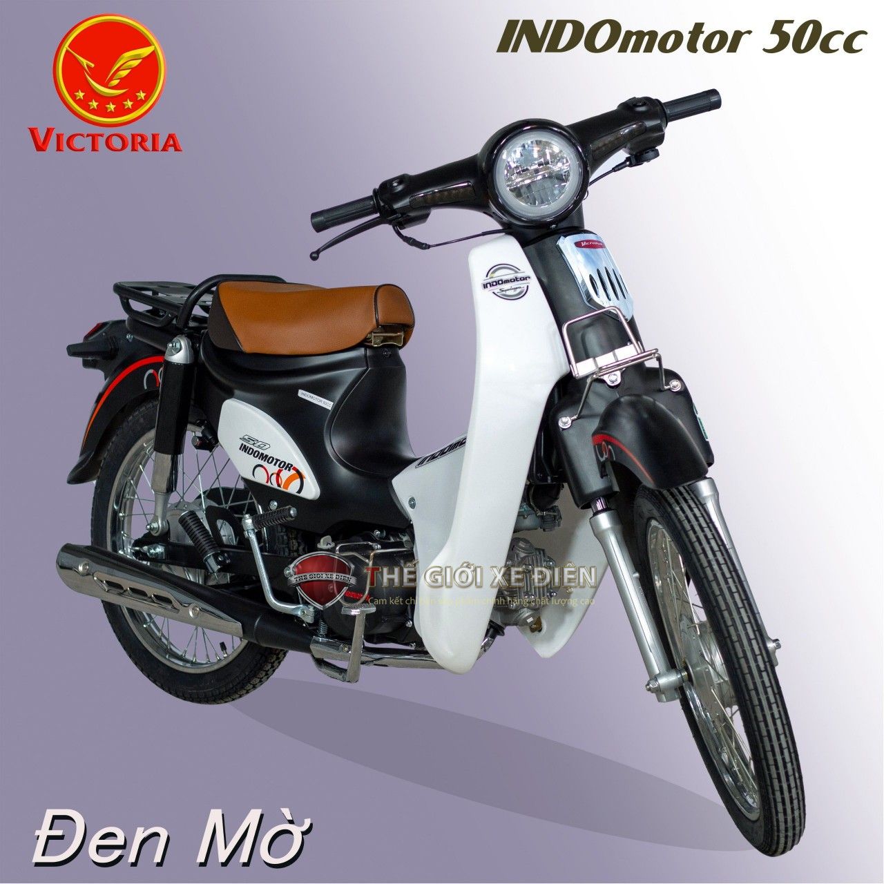 Động cơ xe máy 50cc cub Indo Victoria