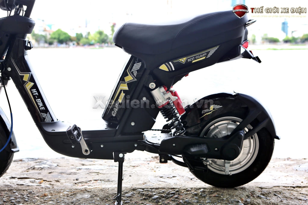 xe đạp điện cap max