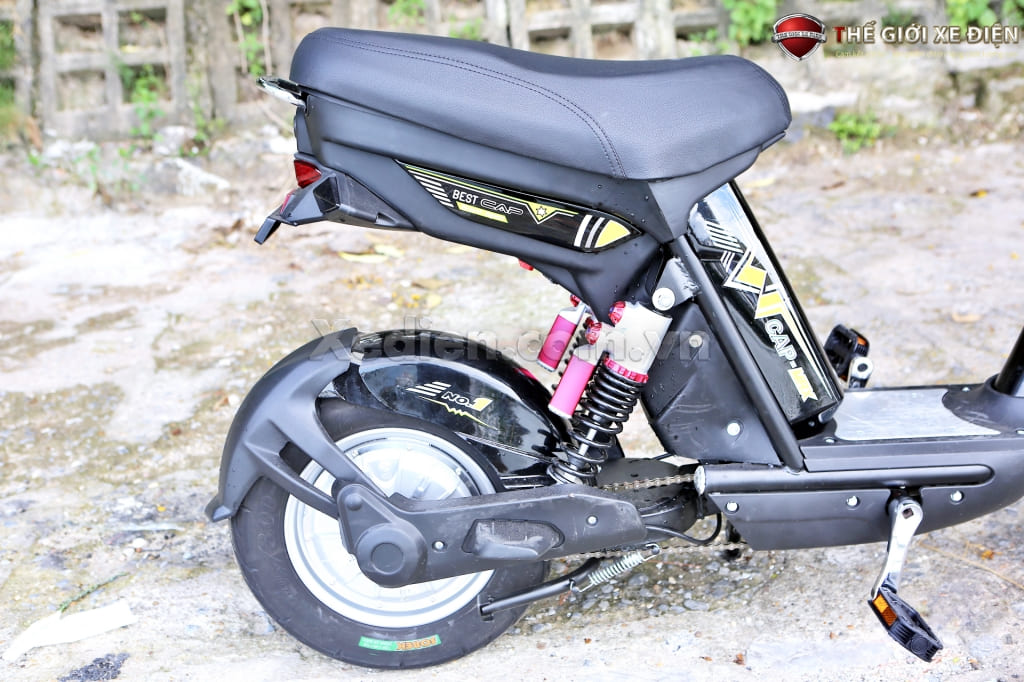 xe đạp điện cap max