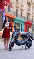 Xe Máy Điện Osakar Xmen Pro Việt Nhật - 2 Phuộc Sau
