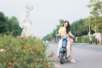 Xe Ga Scoopy 50cc Việt Thái
