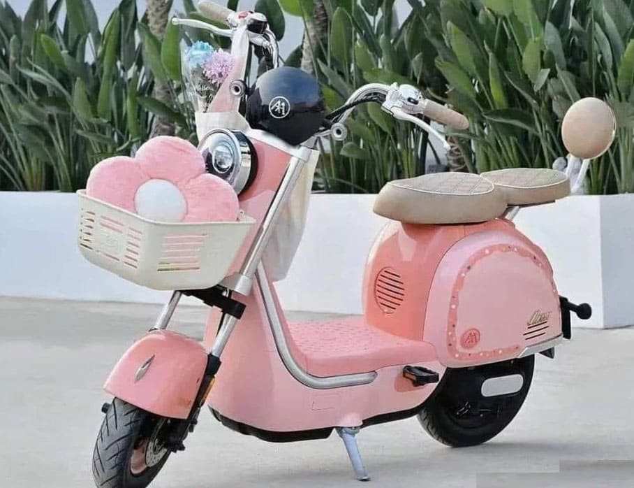 Xe Đạp Điện AIMA PRINCESS Nhập Khẩu Chính Hãng