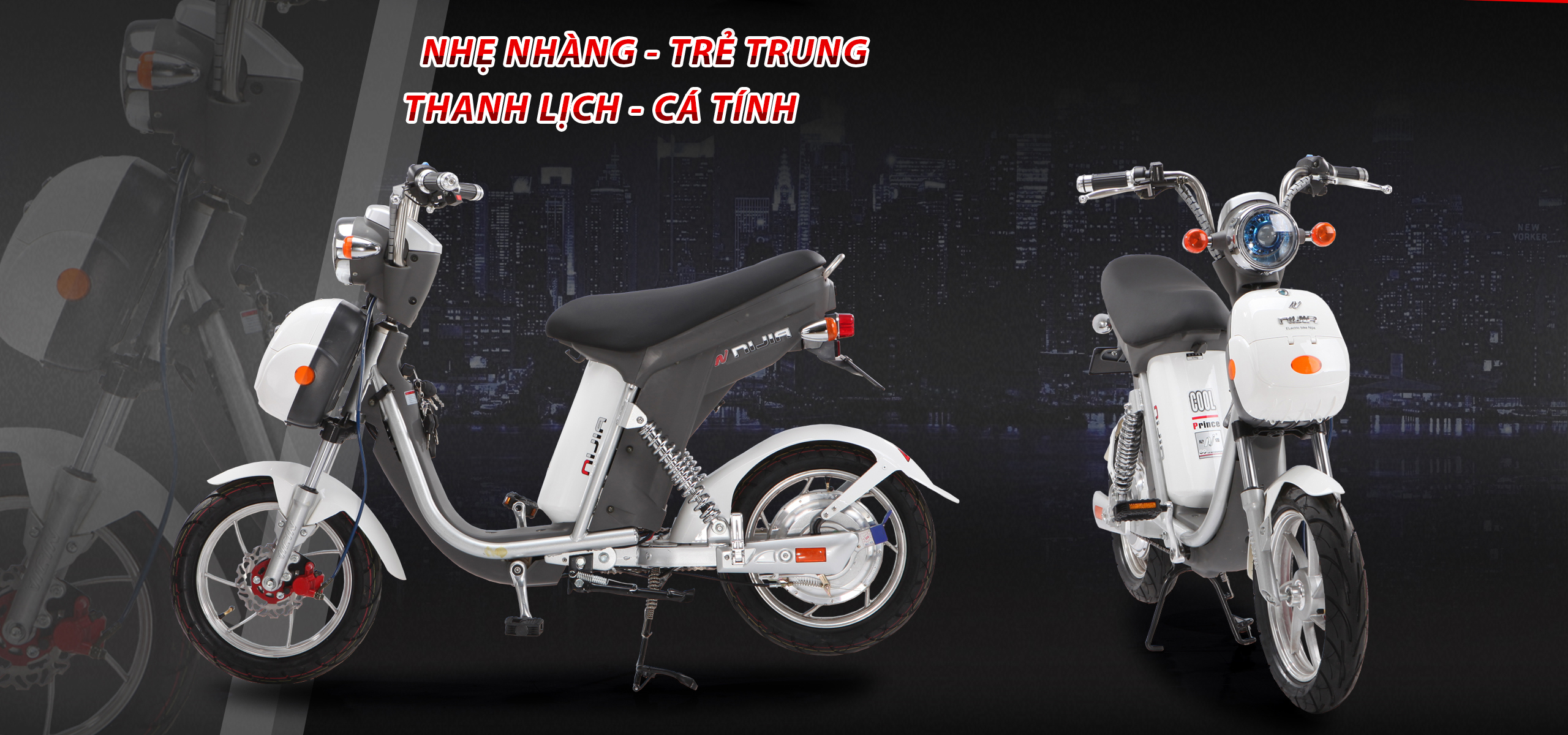 xe đạp điện ninja s 20a