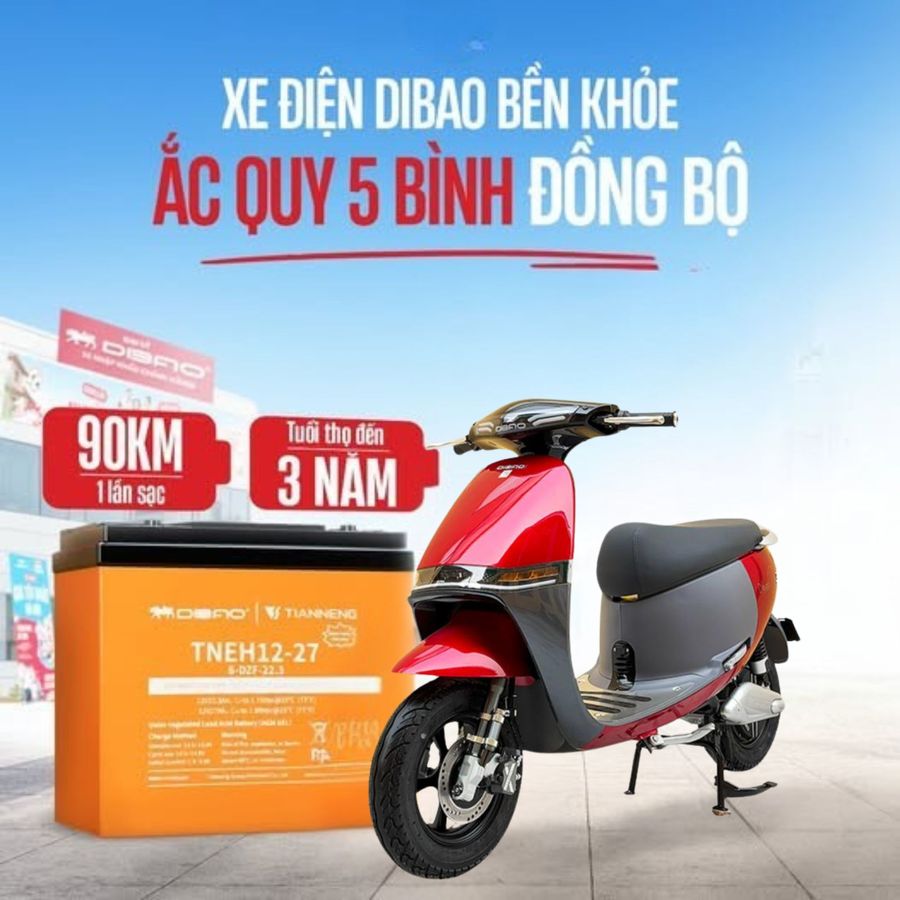 Xe máy điện Dibao Gogo Crown Xe máy điện Dibao Gogo Crown