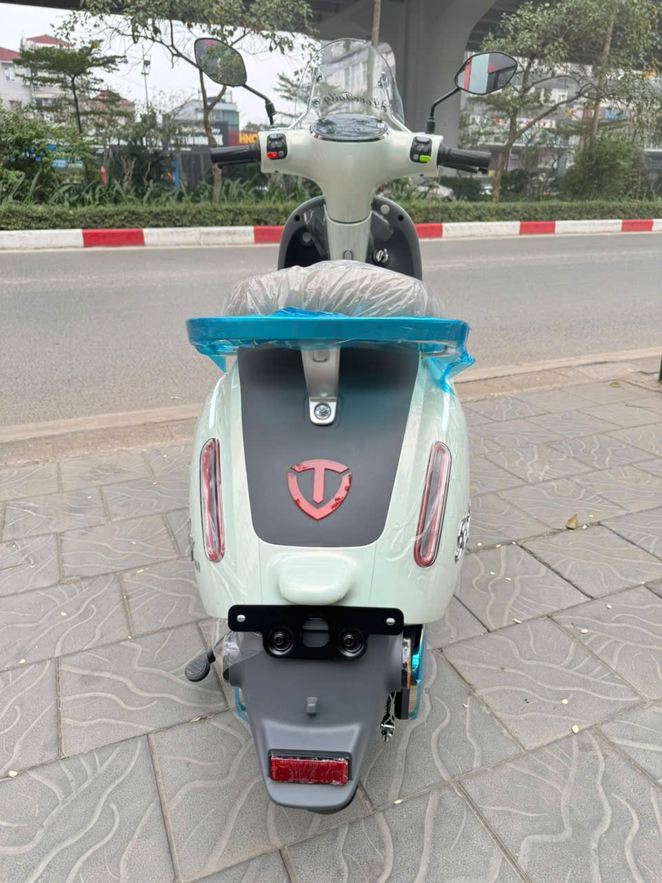 Xe M&aacute;y điện Tailg R60