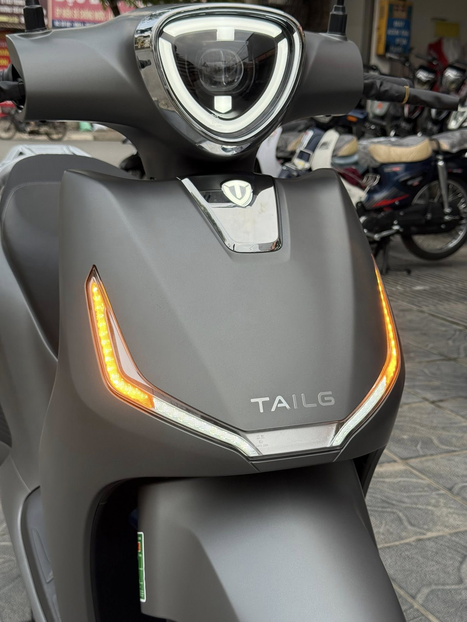 Xe M&aacute;y Điện Tailg T61