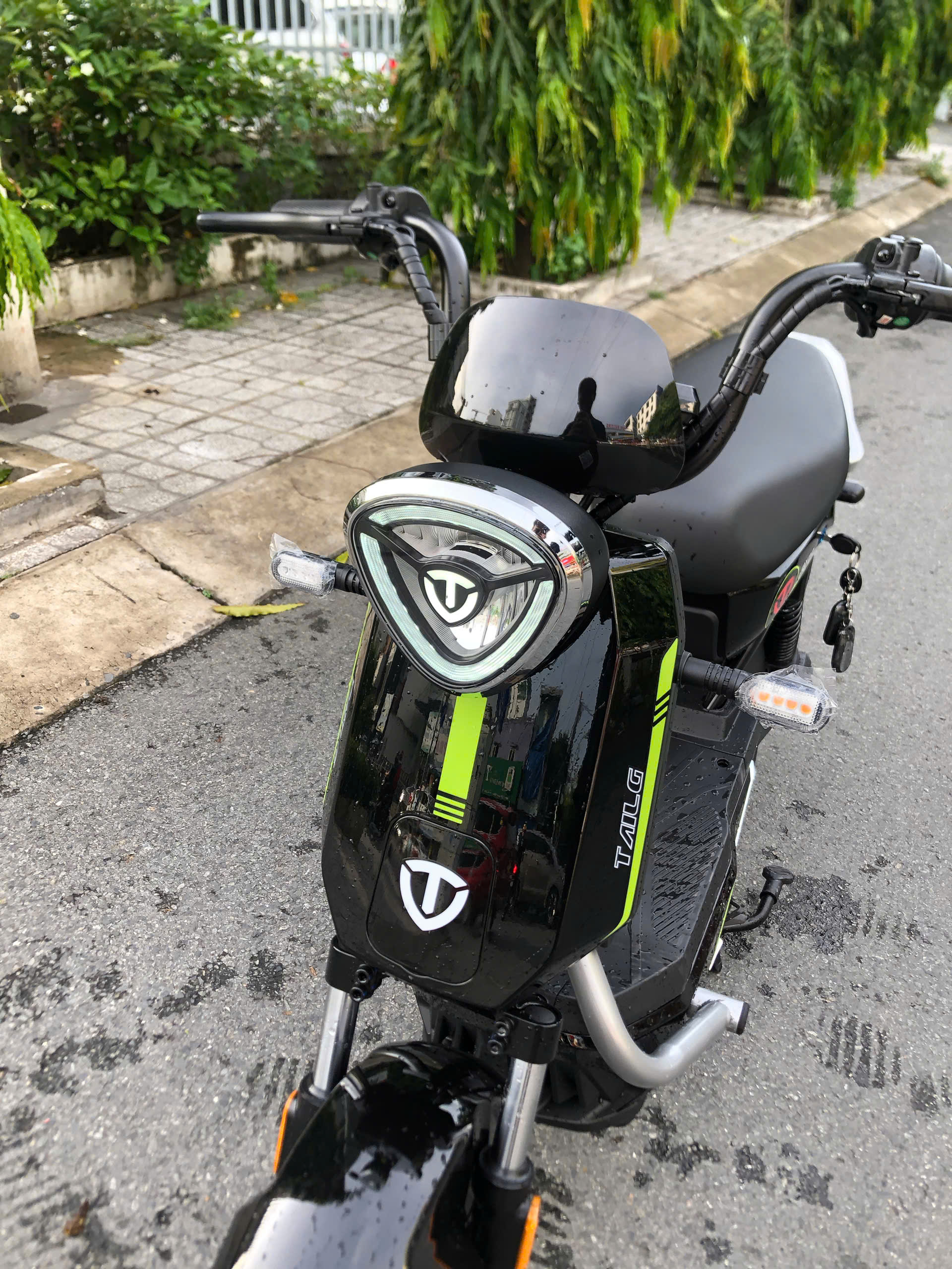 Màu sắc thời thượng và cá tính
