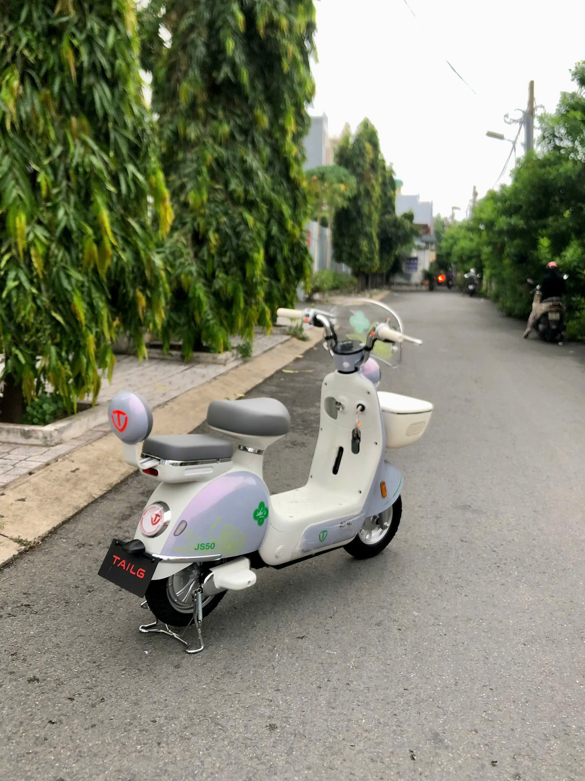 Kích thước và tỷ lệ cân đối