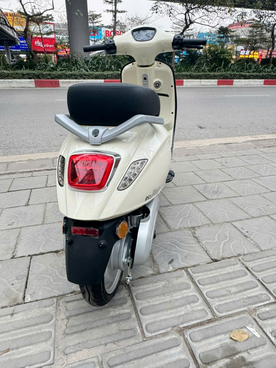 Xe M&aacute;y Điện Tailg Vera R52