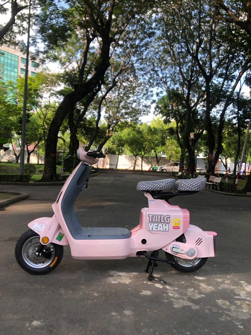 Trang bị 4 bình ắc quy Tianneng 22Ah chất lượng cao