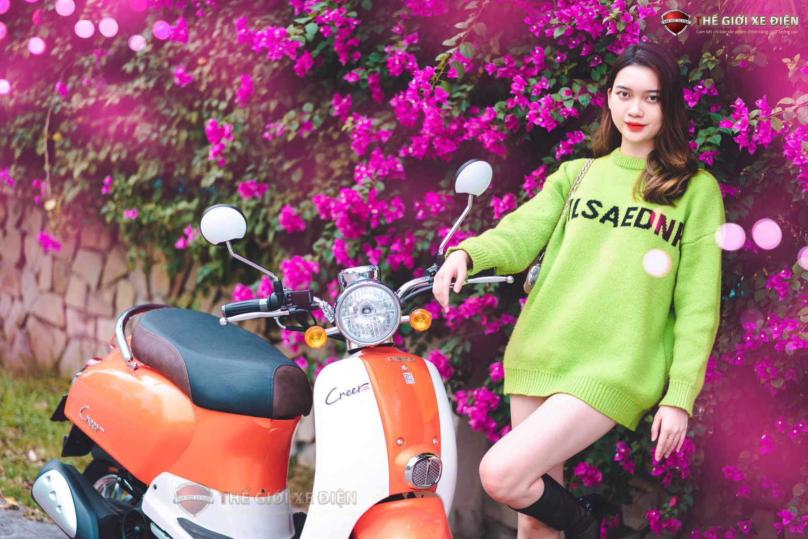 Nên mua xe 50cc ở đâu để có giá tốt nhất?