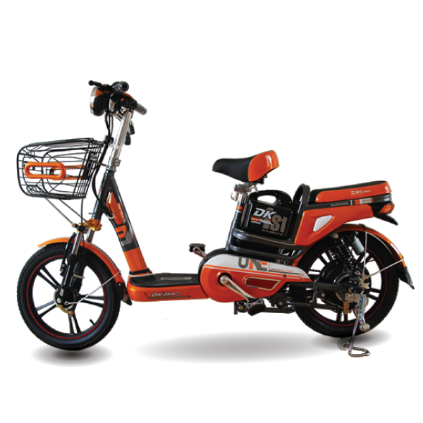 Những thương hiệu xe đạp điện Việt Nam sản xuất