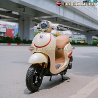 Xe Ga 50cc Golden Ally Japan MOVT 2023