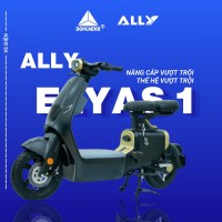 Xe Đạp Điện VC Ally Elyas S1 (Đầy Đủ Giấy Tờ)