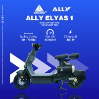 Xe Đạp Điện VC Ally Elyas S1 (Đầy Đủ Giấy Tờ)