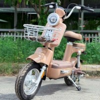 Xe Đạp Điện Dibao AMY