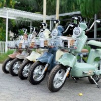 Xe Đạp Điện Dibao AMY