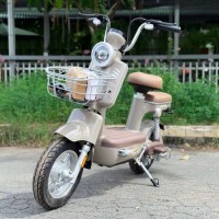 Xe Đạp Điện Dibao AMY