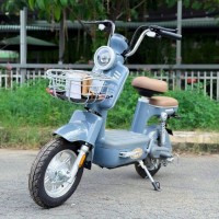 Xe Đạp Điện Dibao AMY