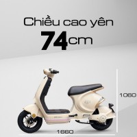 Xe Đạp Điện DK Bike EZ1 (Đầy Đủ Giấy Tờ)