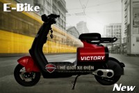 Xe Đạp Điện E-Bike Victoria Việt Nhật Đời Mới - Mở Khóa Thẻ Từ