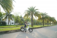 Xe Máy 50cc Cub Motor Thái Vành Đúc