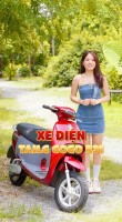 Xe Máy Điện Tailg Gogo R31 Chính Hãng