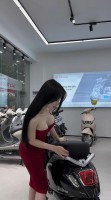 Xe Máy Điện Tailg Vespa R52 Chính Hãng