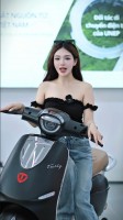 Xe Máy Điện Tailg Queen R71