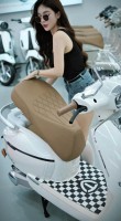 Xe Máy Điện Tailg Queen R71