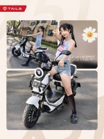 Xe Đạp Điện Tailg Discovery X51 (Đầy Đủ Giấy Tờ)