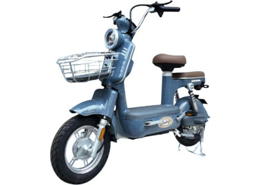 Xe Đạp Điện Dibao AMY