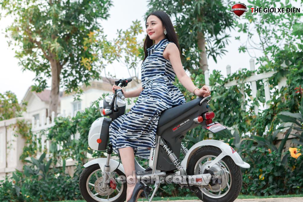 Xe đạp điện Dibao - Ninja Cổ Điển Thanh Lịch