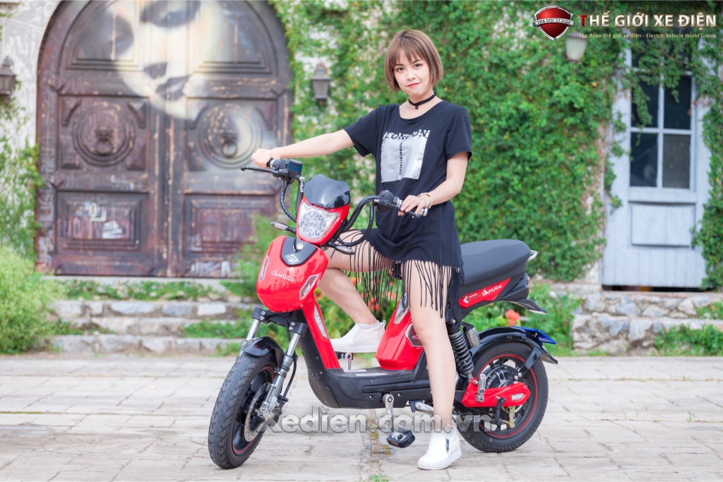 xe đạp điện cao cấp - DK Samurai 2