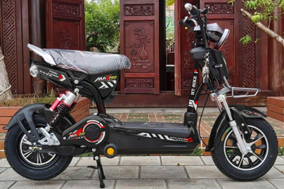 Xe Đạp Điện HT Bike MaxPro