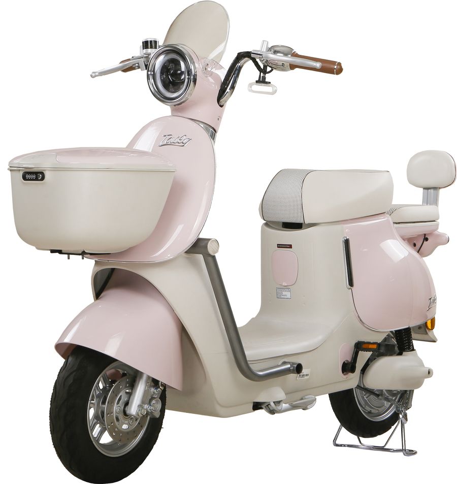 Xe Đạp Điện Tailg GR54