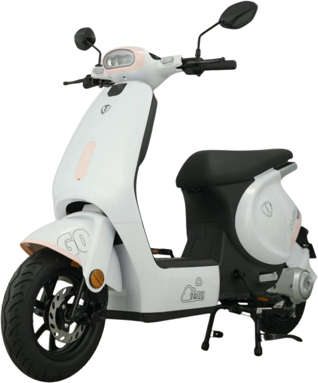 Xe Đạp Điện Tailg GR56 Đầy Đủ Giấy Tờ