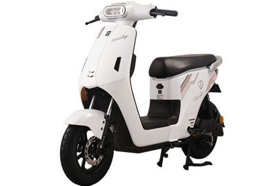 Xe Đạp Điện Tailg GR57