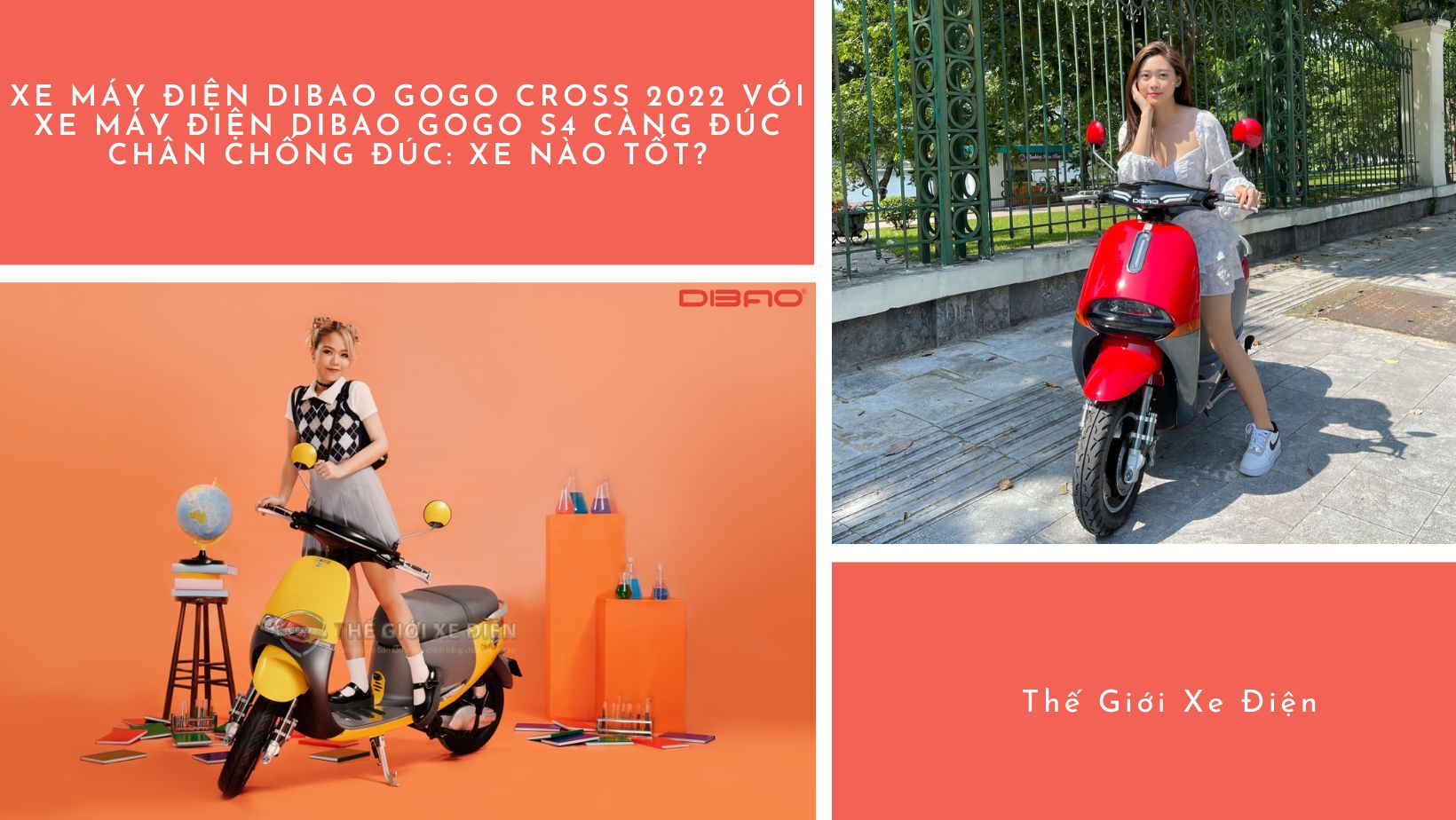 Xe máy điện Dibao Gogo Cross 2023 với xe máy điện Dibao Gogo S4 càng đúc chân chống đúc: Xe nào tốt?
